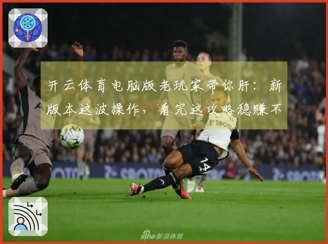 开云体育电脑版老玩家带你肝：新版本这波操作，看完这攻略稳赚不亏！