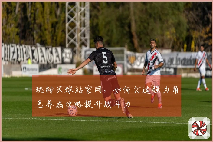 玩转买球站官网，如何打造强力角色养成攻略提升战斗力