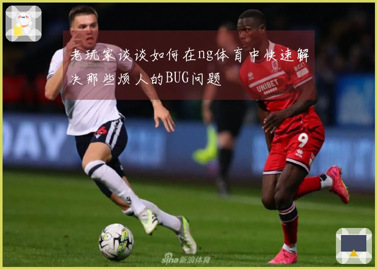 老玩家谈谈如何在ng体育中快速解决那些烦人的BUG问题