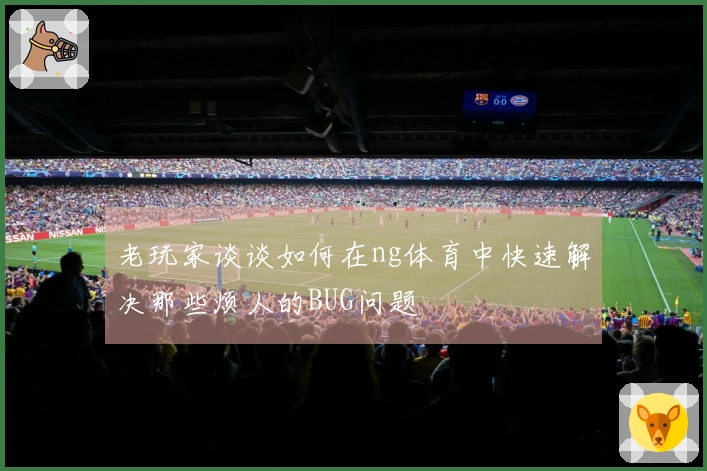 老玩家谈谈如何在ng体育中快速解决那些烦人的BUG问题